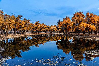 《星空》将拥有比《辐射4》更多的发型 更有特点